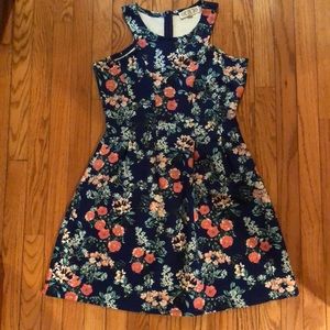 Pink Rose Floral Slvls Dress